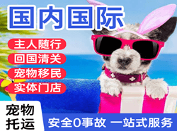 运城航空空运国际宠物托运 【国